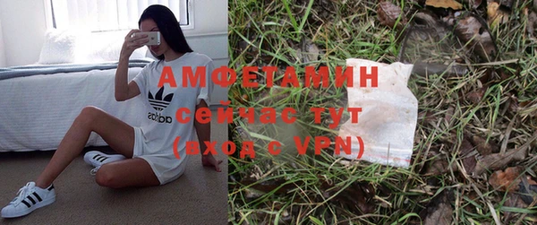 спиды Верея