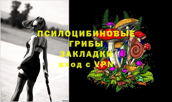 спиды Верея