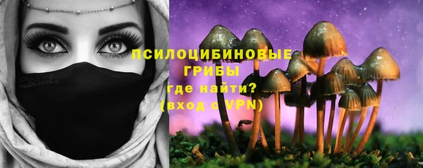 круглые Бронницы